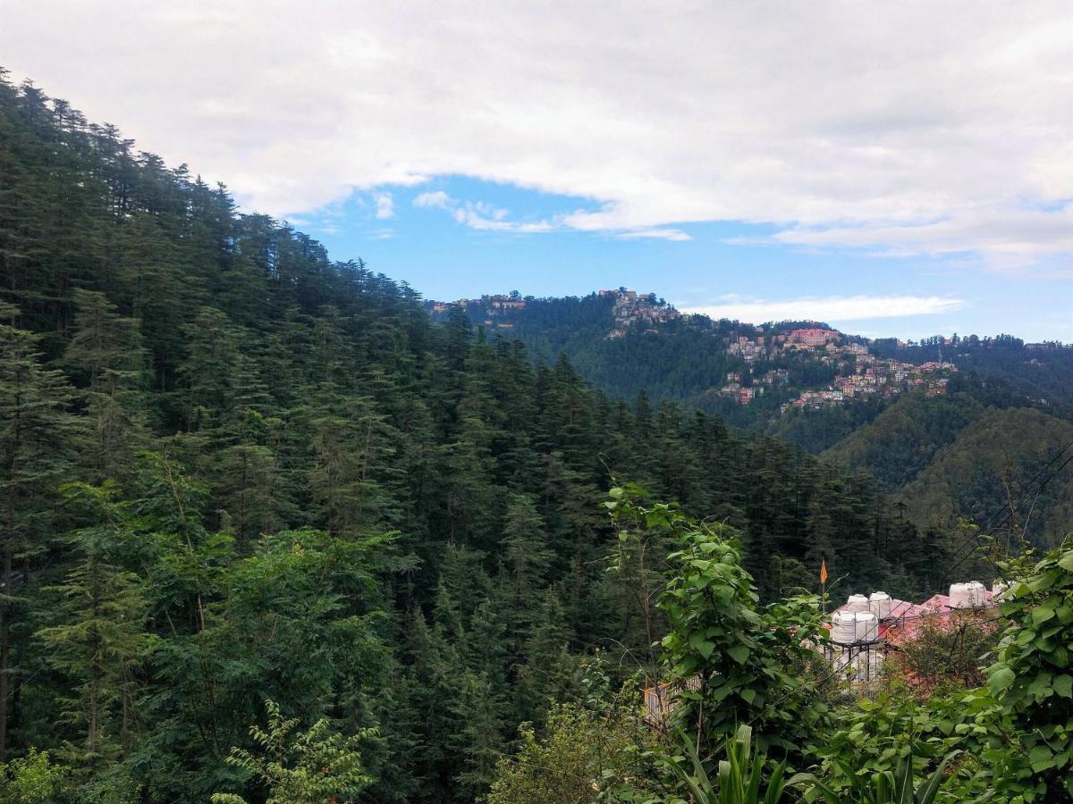 Neha Homestay 심라 외부 사진