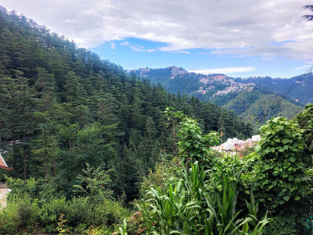 Neha Homestay 심라 외부 사진
