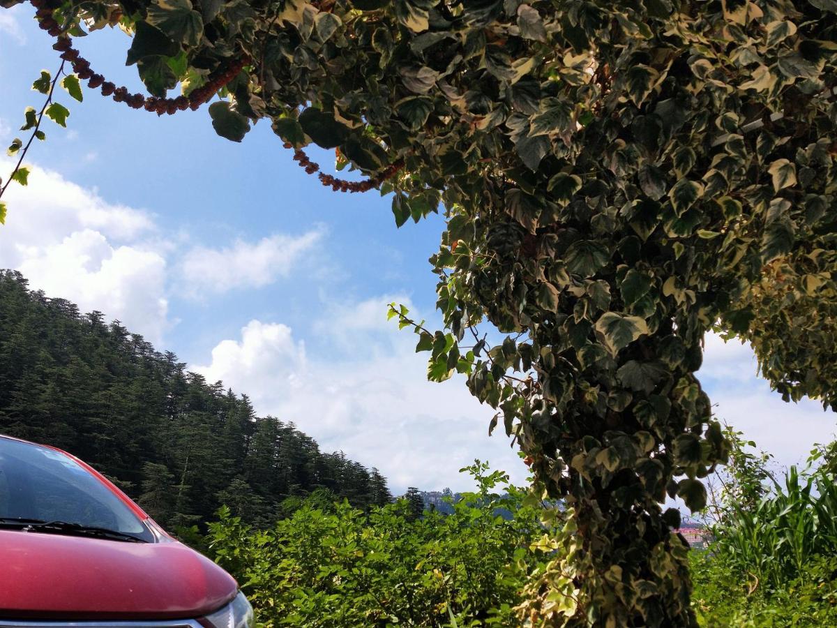 Neha Homestay 심라 외부 사진