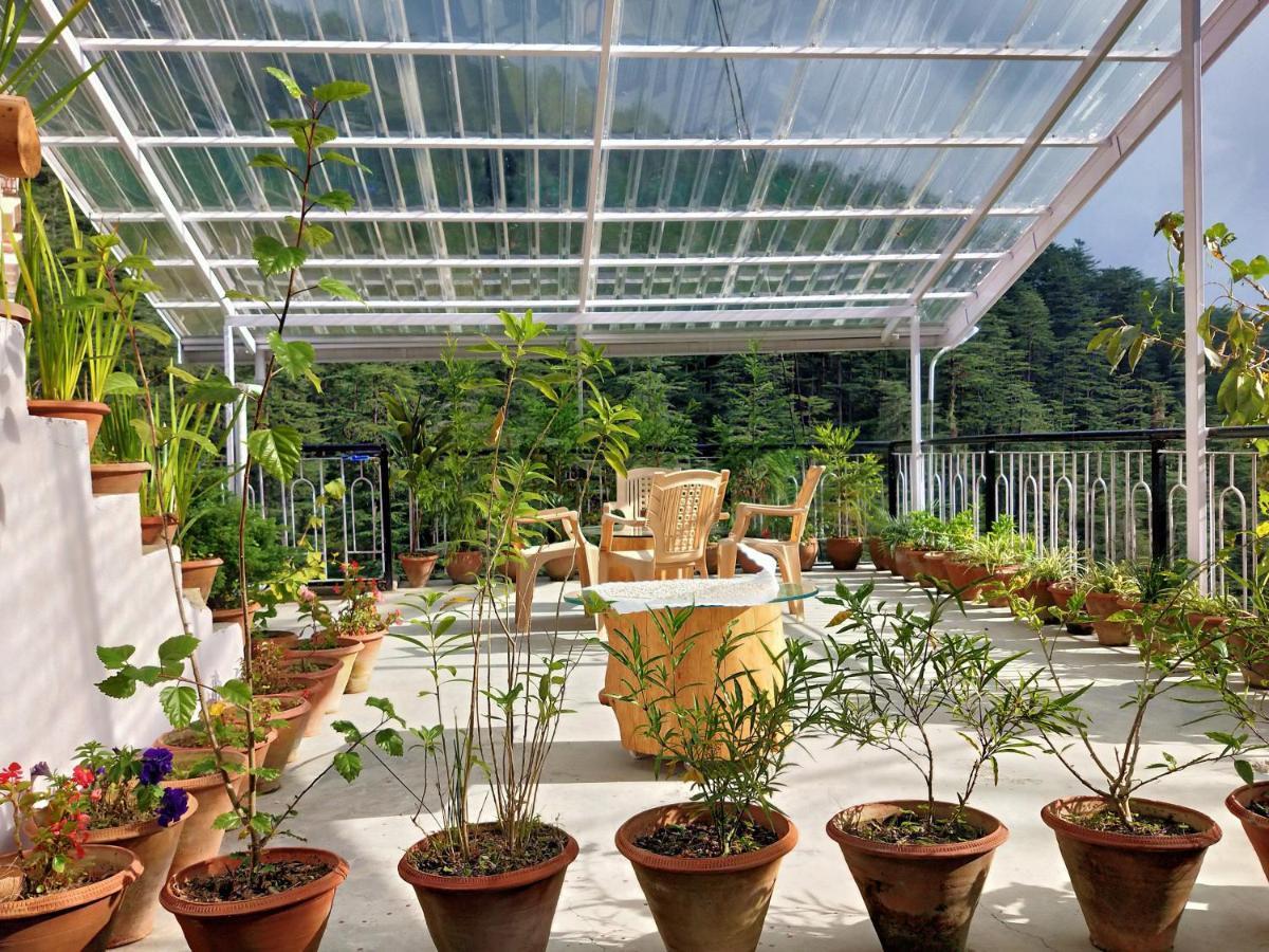 Neha Homestay 심라 외부 사진