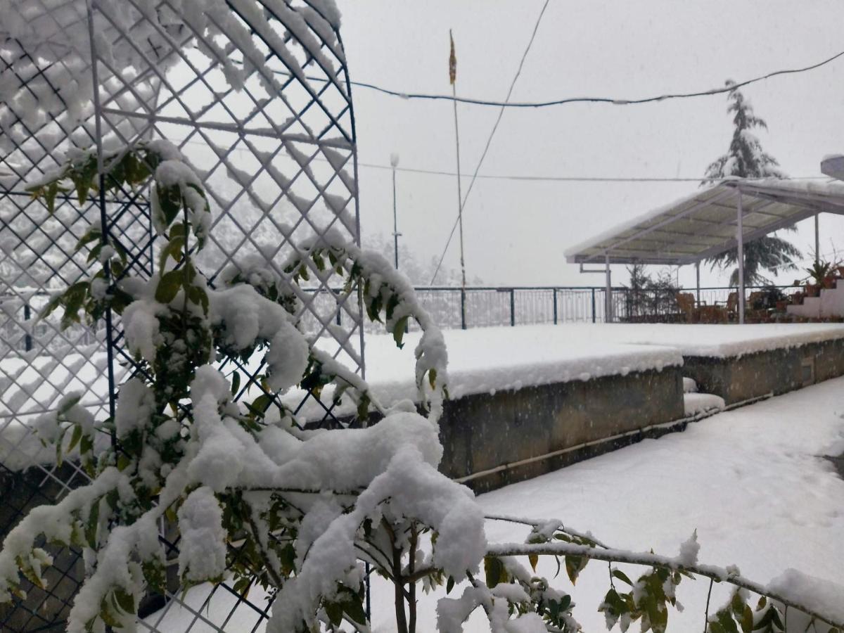 Neha Homestay 심라 외부 사진