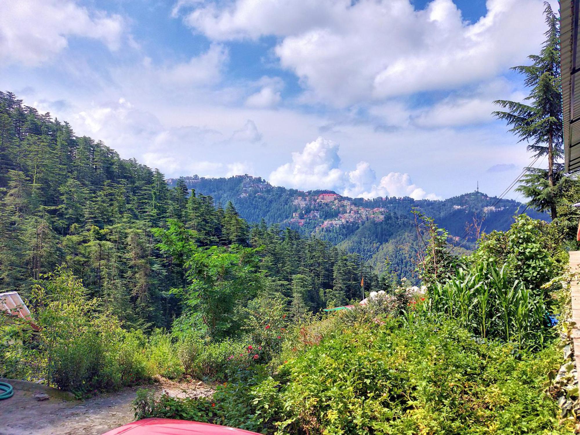 Neha Homestay 심라 외부 사진
