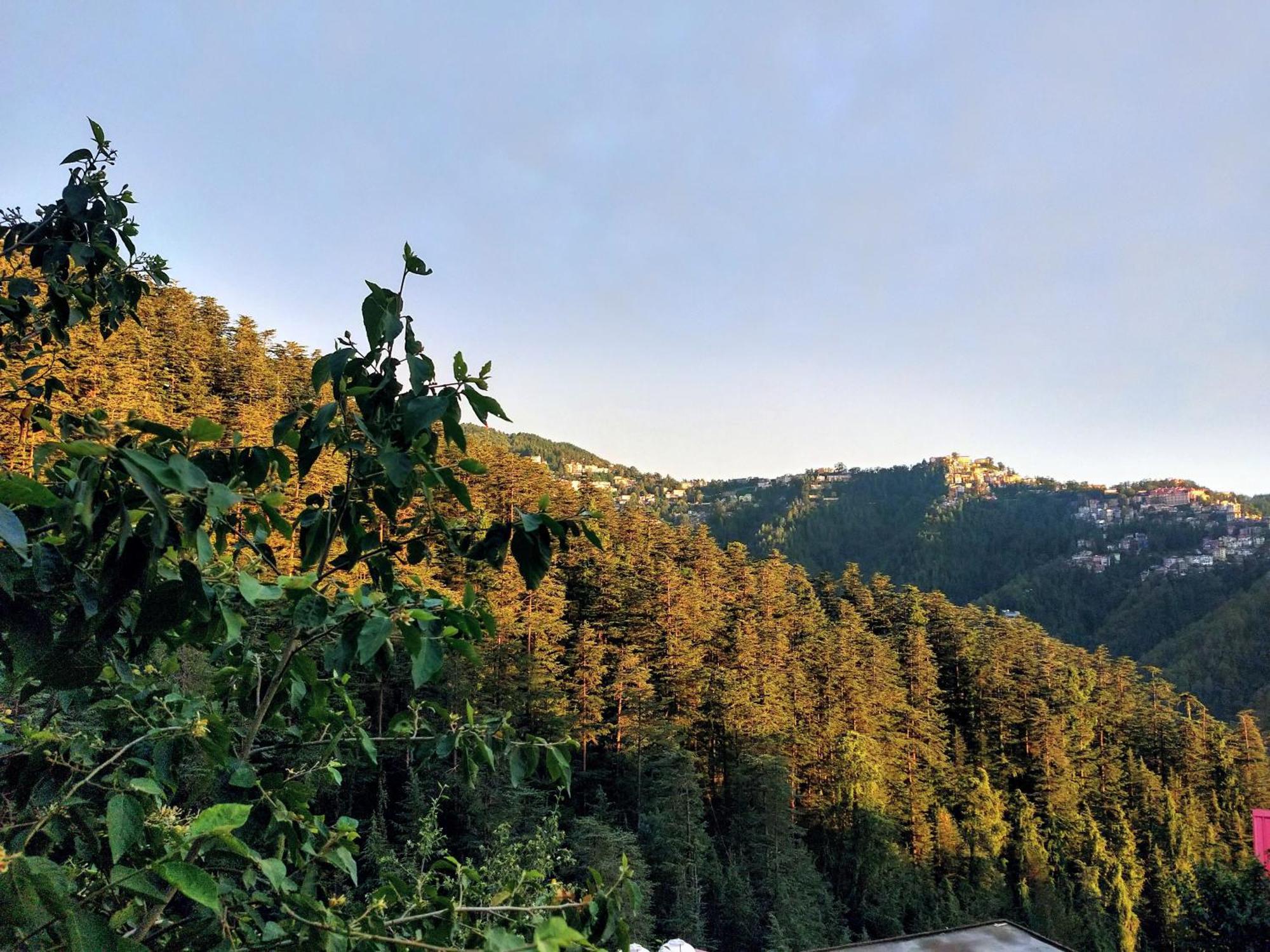 Neha Homestay 심라 외부 사진
